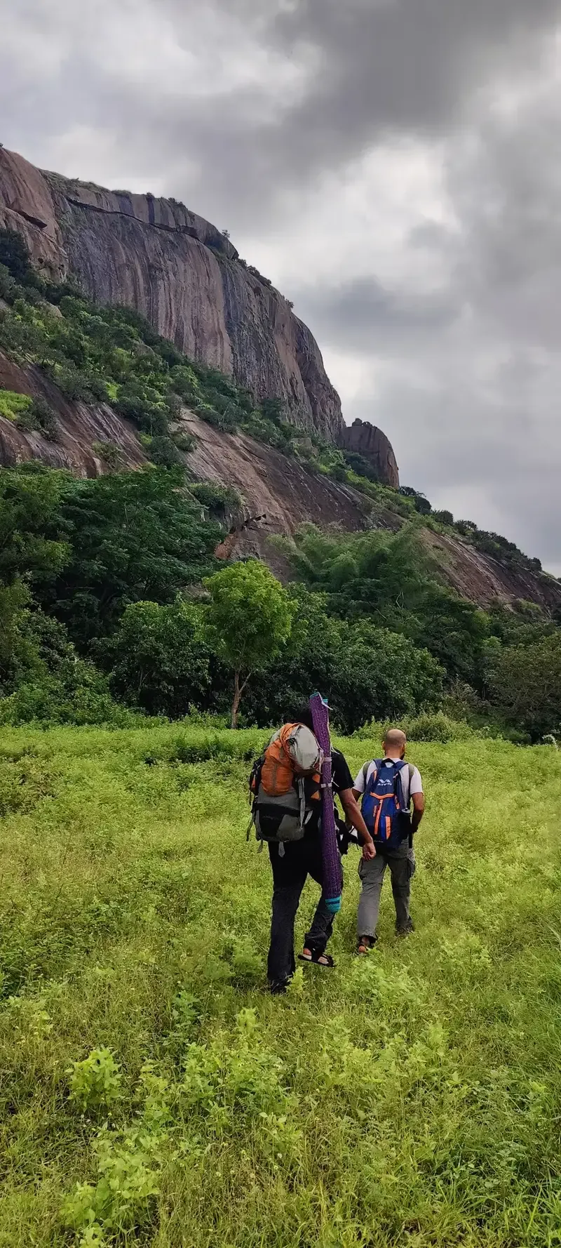 Hero image showing a scenic hiking trail