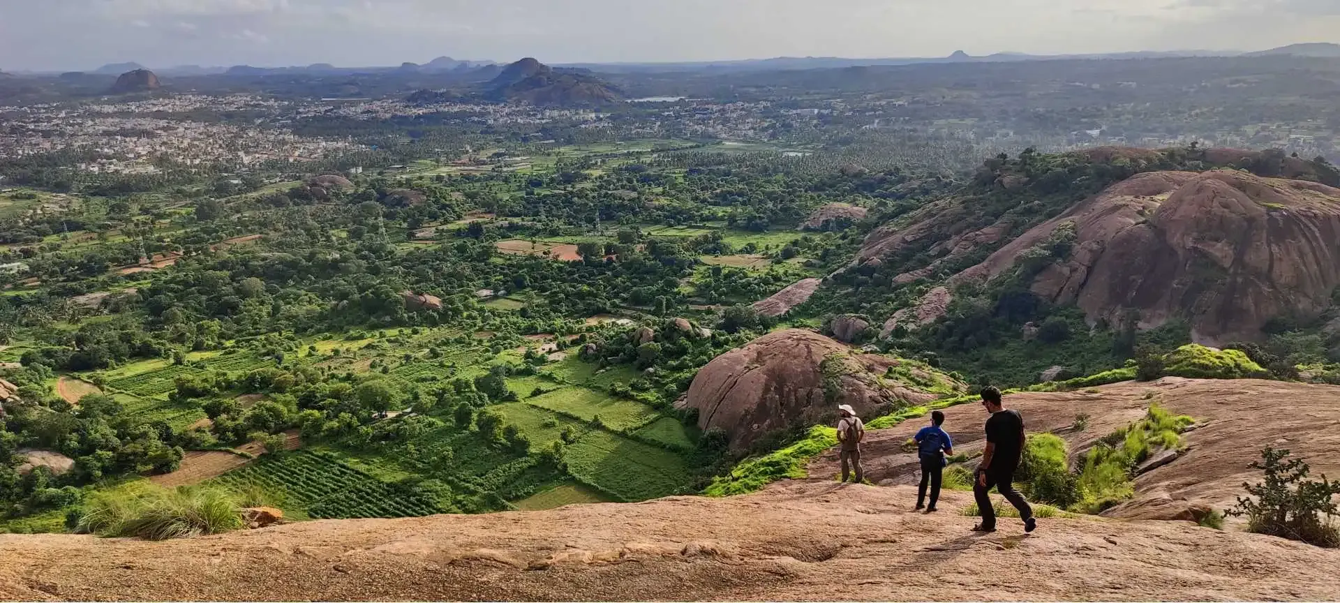 Hero image showing a scenic hiking trail