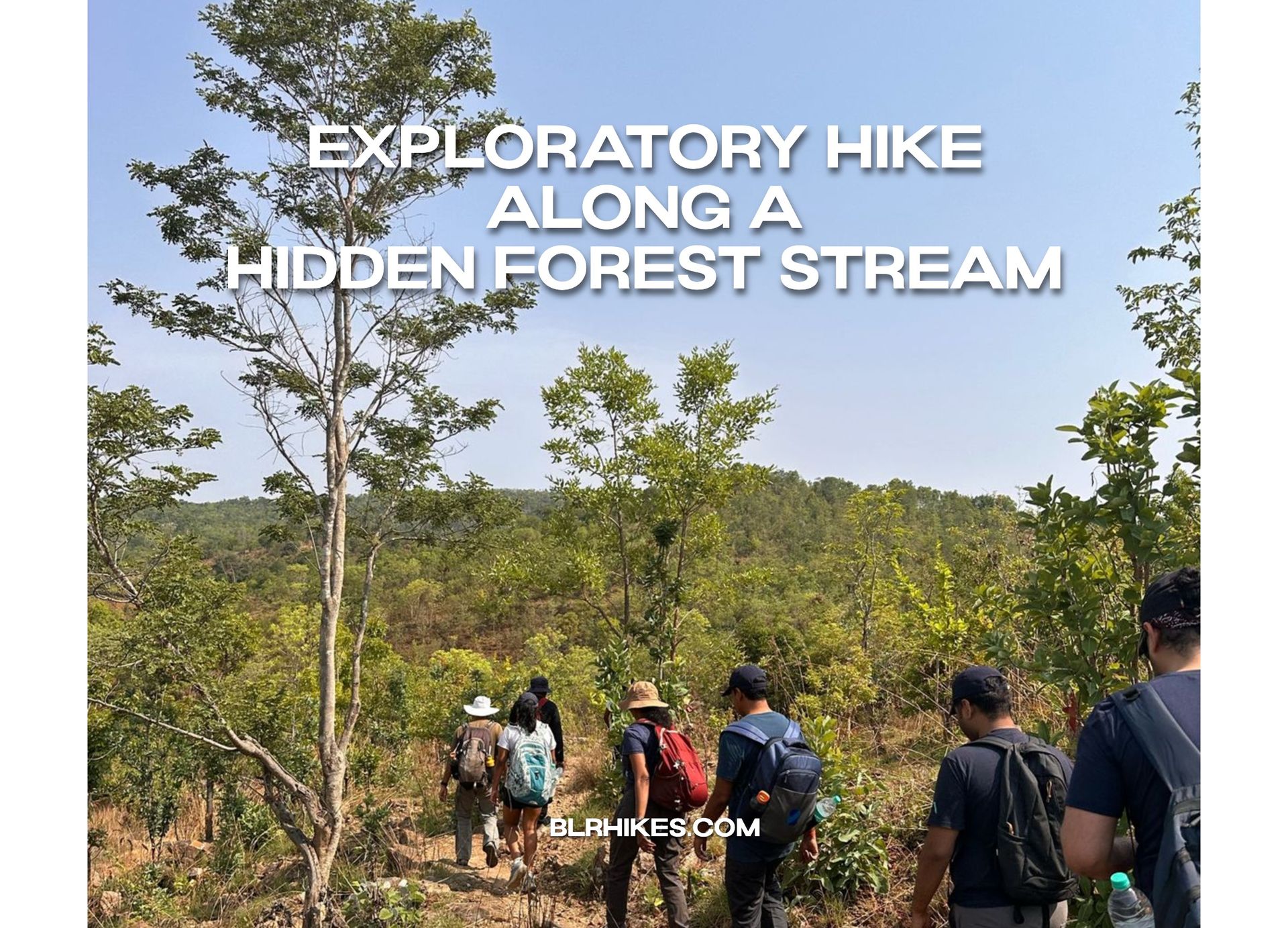Exploratory Hike along a Hidden Forest Stream