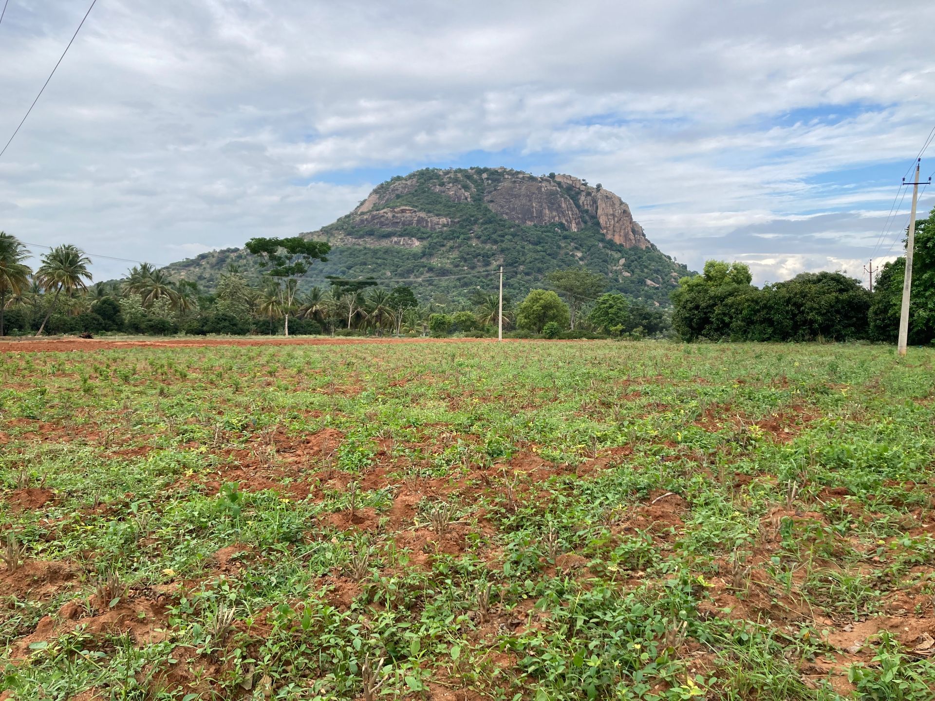 Community Hike to Narasimhaswamy Betta